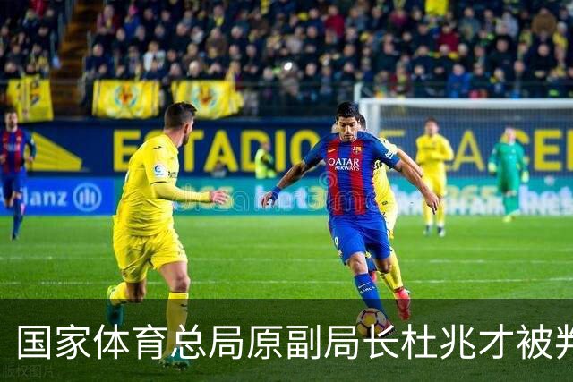 国家体育总局原副局长杜兆才被判处有期徒刑十四年