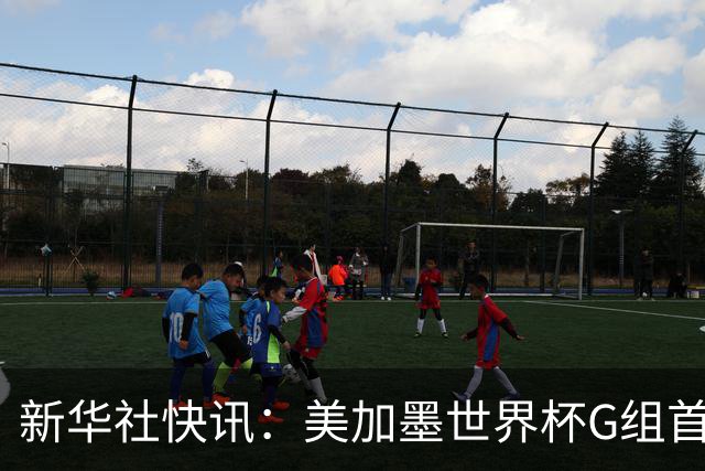 新华社快讯：美加墨世界杯G组首轮 伊朗队2:2平新西兰队