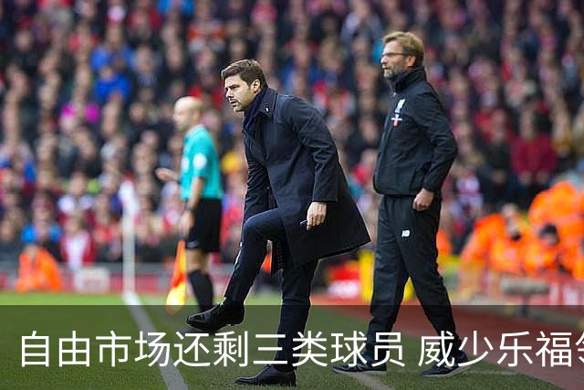 自由市场还剩三类球员 威少乐福领衔失业大军？